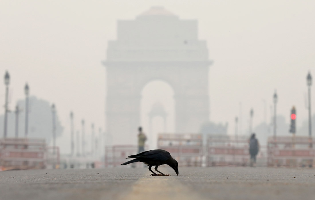 Environmental problems in India: air pollution levels reach critical levels